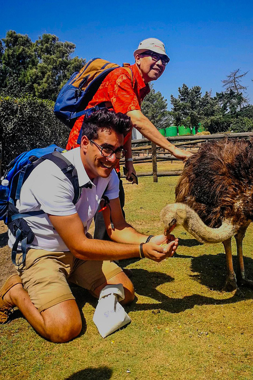CAPE TOWN: OSTRICH RANCH QUAD BIKE RIDE & OSTRICH TOUR - Timing Reality Check: When the Day Feels Short or the Switch Is Fast