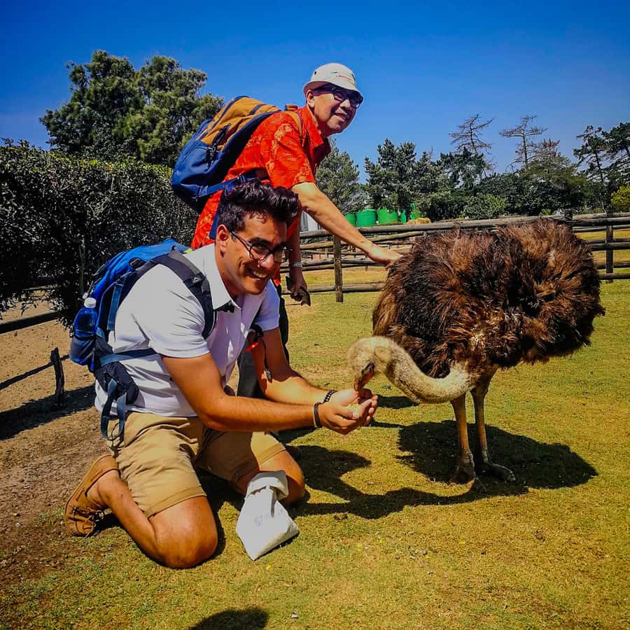 CAPE TOWN: OSTRICH RANCH QUAD BIKE RIDE & OSTRICH TOUR - Quad Bike Ride Basics: Safety Gear, Wind, and Dust You Should Expect