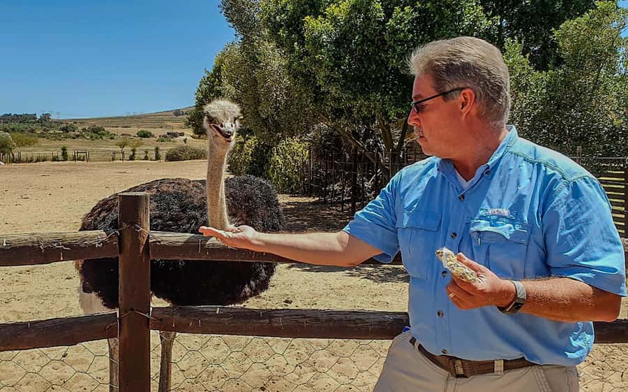 CAPE TOWN: OSTRICH RANCH QUAD BIKE RIDE & OSTRICH TOUR - What to Bring and Wear for a Smooth 2-Hour Day