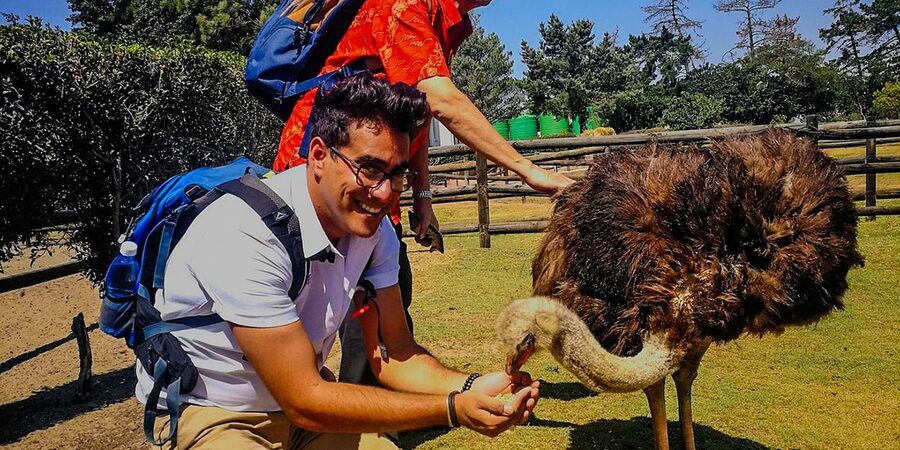 CAPE TOWN: OSTRICH RANCH QUAD BIKE RIDE & OSTRICH TOUR - Who This Tour Fits Best (and Who Should Skip It)