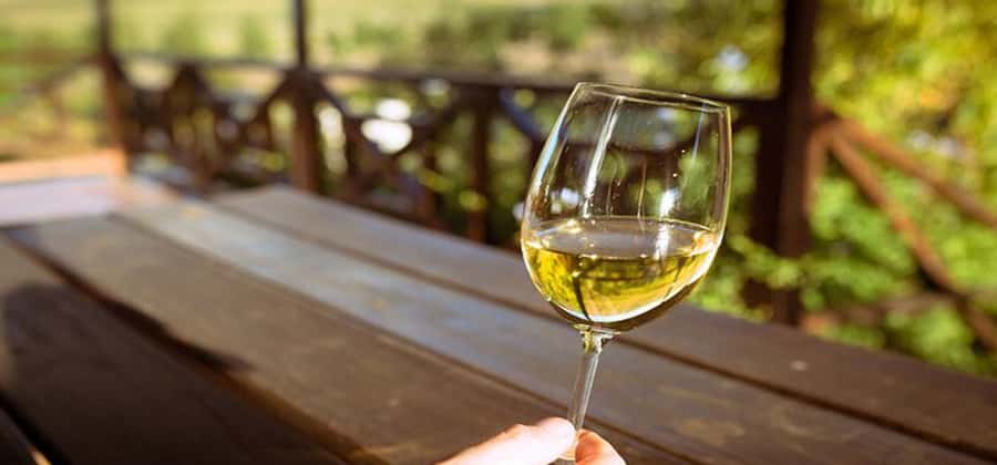 Cape Town: Paarl, Stellenbosch and Franschhoek Wine Tour - Why this Cape Winelands day feels efficient, not frantic