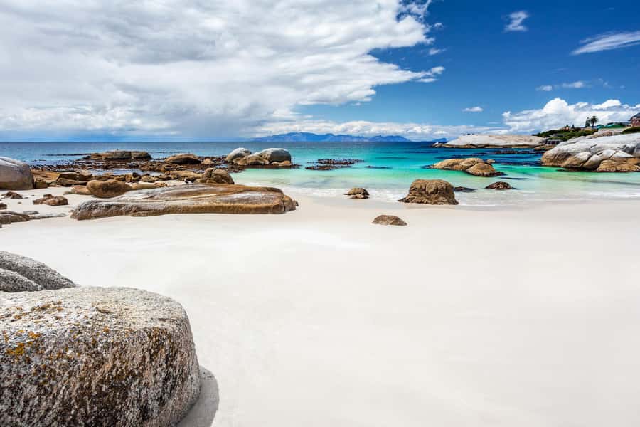 Cape Town: Penguin Watching at Boulders Beach Half Day Tour - Chapmans Peak Drive: The Stretch That Makes the Tour Worth It
