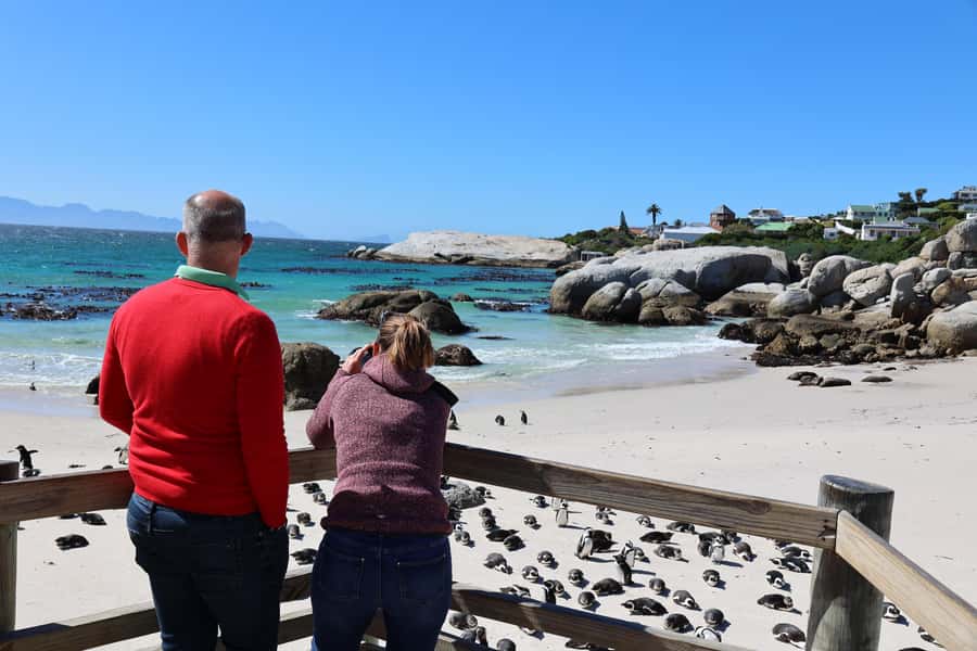 Cape Town: Penguin Watching at Boulders Beach Half Day Tour - Swimming in the Indian Ocean: When It’s Amazing, When It’s Tricky
