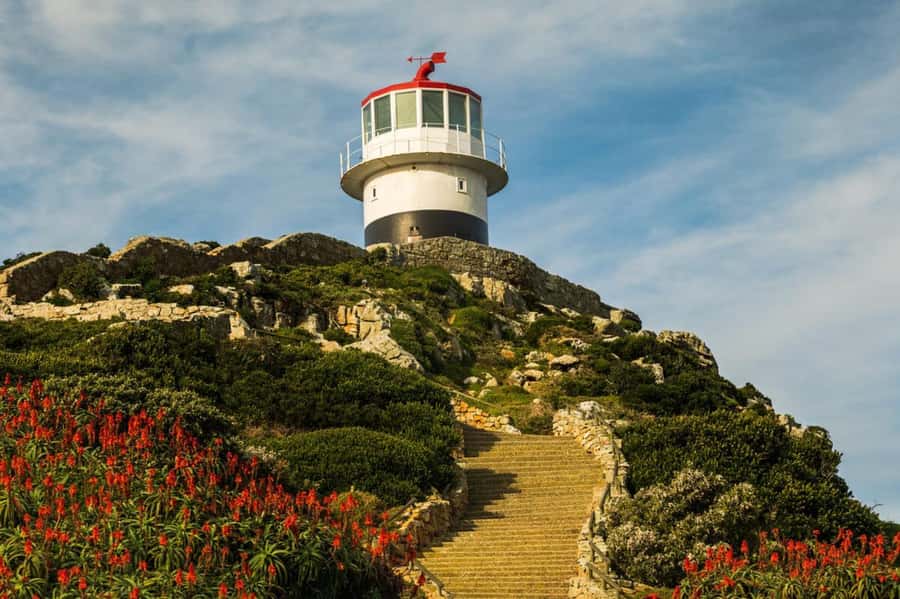 Cape Town: Penguins & Cape of Good Hope Day Tour with Pickup - Price and Value: What the $29 Ticket Really Covers