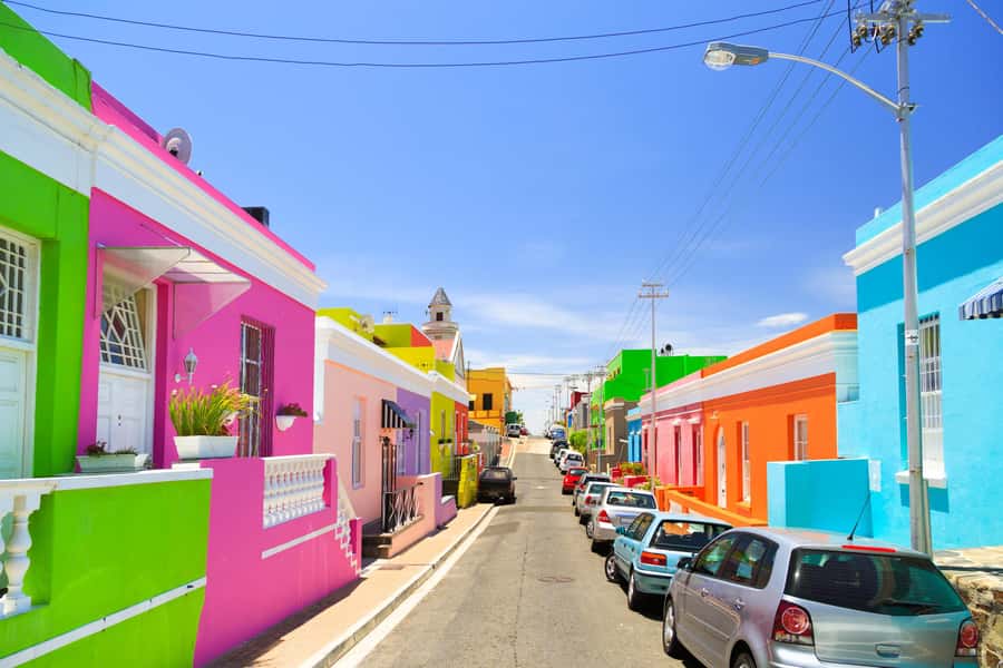 Cape Town: Penguins & Cape of Good Hope Half Day Shared Tour - Timing and pacing: how the half-day schedule can feel