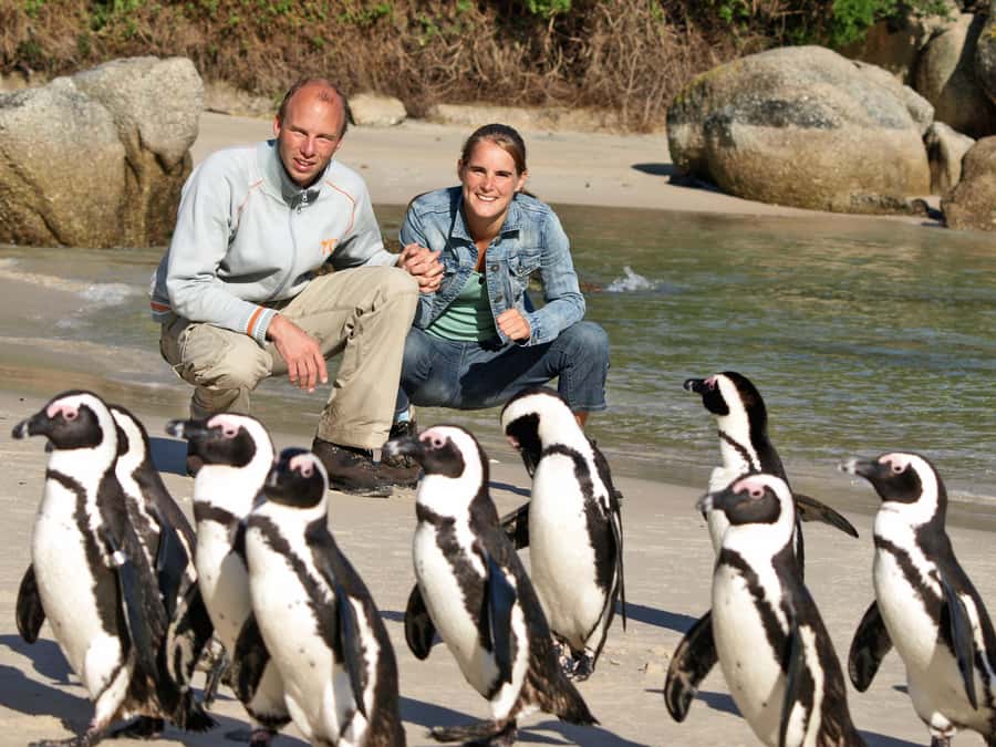 Cape Town: Penguins & Cape of Good Hope Half Day Shared Tour - Getting from Cape Town to Boulders: Muizenberg, St. James, and the coast drive