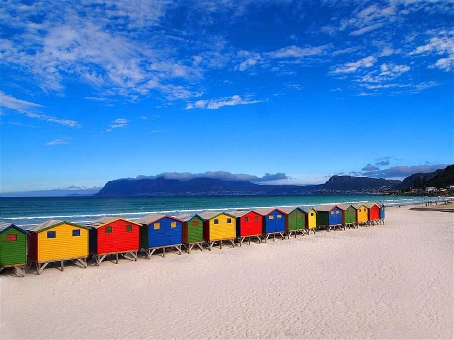 Cape Town: Penguins & Cape of Good Hope Half-Day Tour - The simple idea: cliffs, coast, and penguins in one tight route