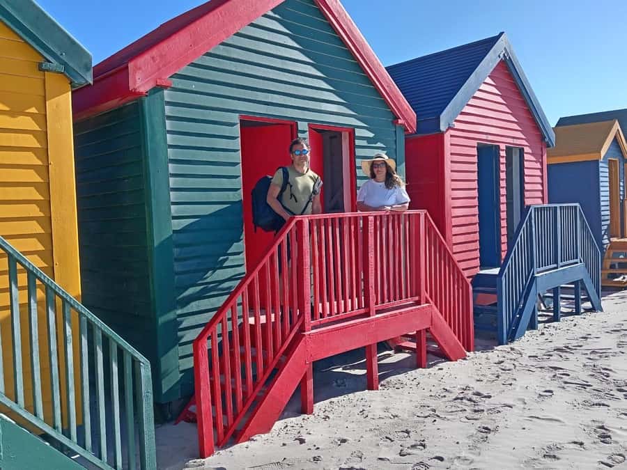 Cape Town: Penguins & Cape of Good Hope Half-Day Tour - Price and entrance fees: what $33 becomes in the real world