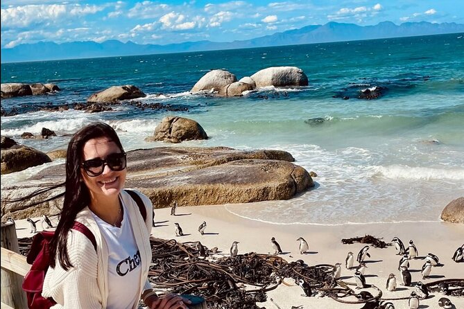 Cape Town Peninsula and Penguins Private Sightseeing Tour - Seal Island and Hout Bay: How the Optional Boat Changes the Day