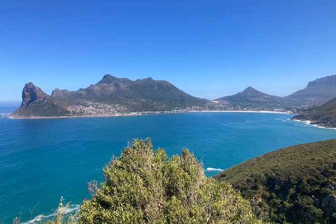 Cape Town: Peninsula, Cape of Good Hope and Penguins Tour - Key highlights you should care about