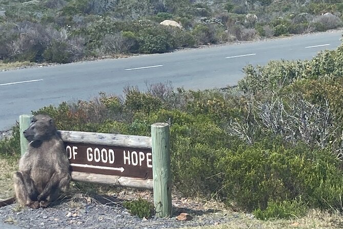 Cape Town: Peninsula, Cape of Good Hope and Penguins Tour - Camps Bay beach: your quick hit of ocean plus mountain backdrop