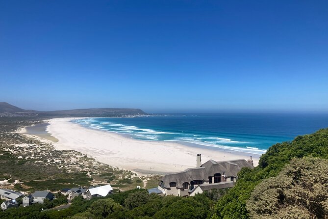 Cape Town: Peninsula, Cape of Good Hope and Penguins Tour - Boulders Beach penguin colony: watching African penguins up close