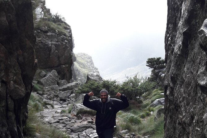 Cape Town: Platteklip Gorge Half-Day Hike on Table Mountain - Key highlights you’ll feel on the ground