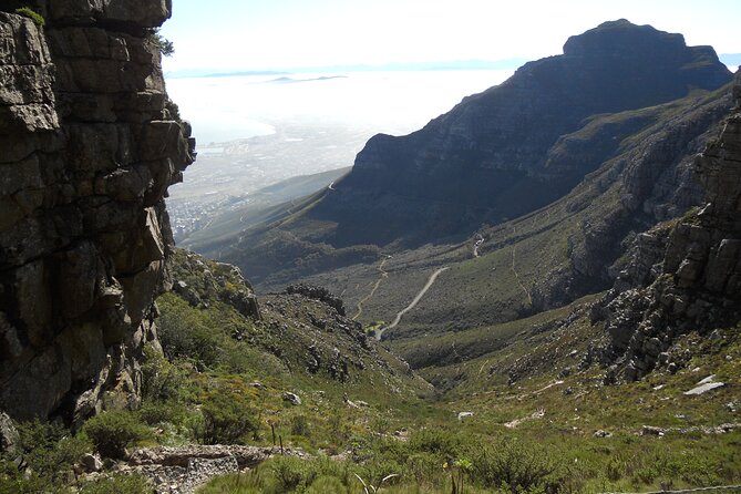 Cape Town: Platteklip Gorge Half-Day Hike on Table Mountain - Price and value: what you actually pay for