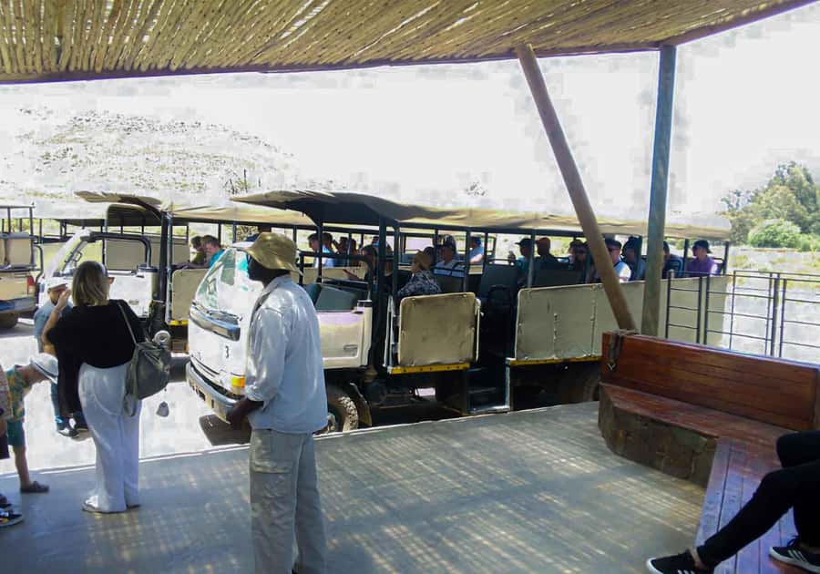 Cape Town: Private Aquila Reserve Safari with Winery Lunch - Aquila and Fairview in one day: a practical Cape Town combo