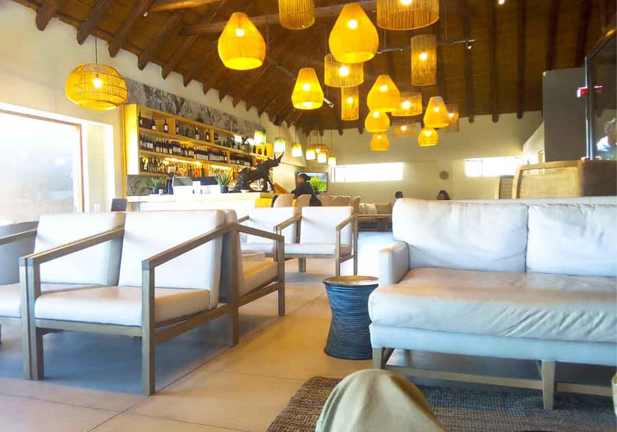 Cape Town: Private Aquila Reserve Safari with Winery Lunch - Aquila Private Nature Reserve: your Big Five odds and how to think about sightings