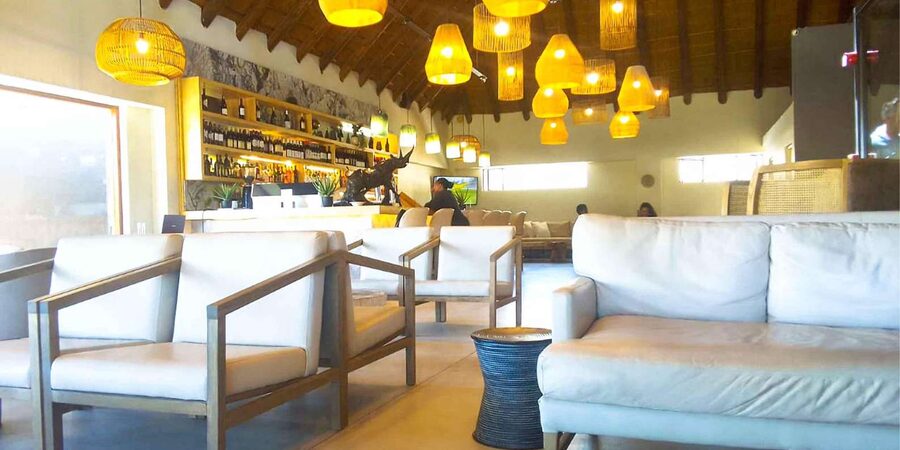 Cape Town: Private Aquila Reserve Safari with Winery Lunch - Lodge buffet lunch and the little pauses that make a long day work