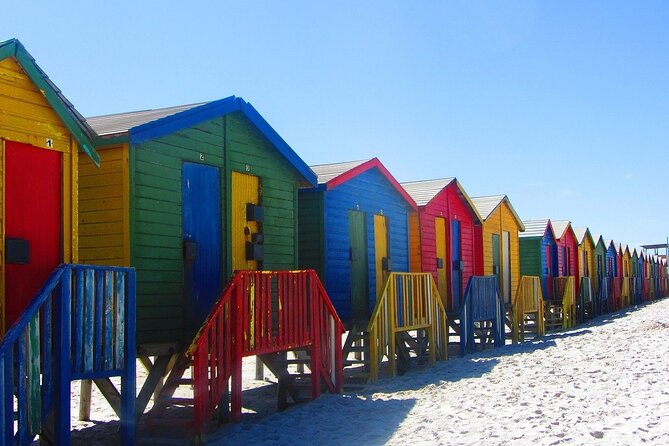 Cape Town Private Group Tour to Cape of Good Hope and Boulders Penguins Colony - Camps Bay and Chapman’s Peak: the Cape Peninsula’s photo hits