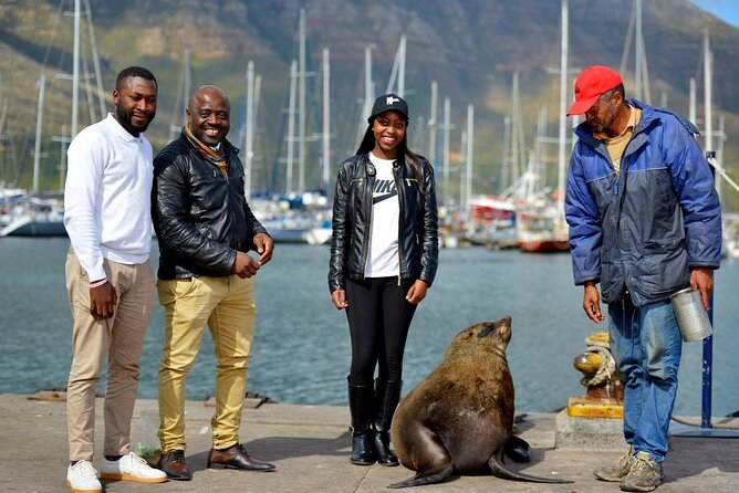 Cape Town Private Group Tour to Cape of Good Hope and Boulders Penguins Colony - Hout Bay harbor, Seal Island option, and a coffee stop at Noordhoek
