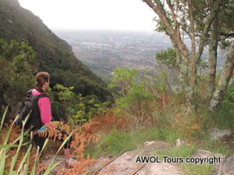 Cape Town Private Guided Table Mountain Hikes - The guides: why local stories plus safety adds up to a better hike