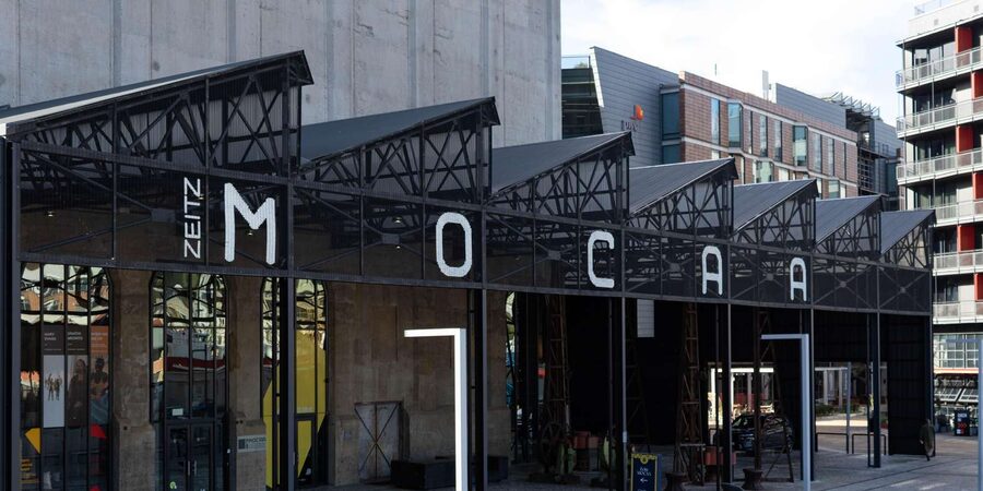 Cape Town: Private Half Day City Tour - Private group pace: who this works best for