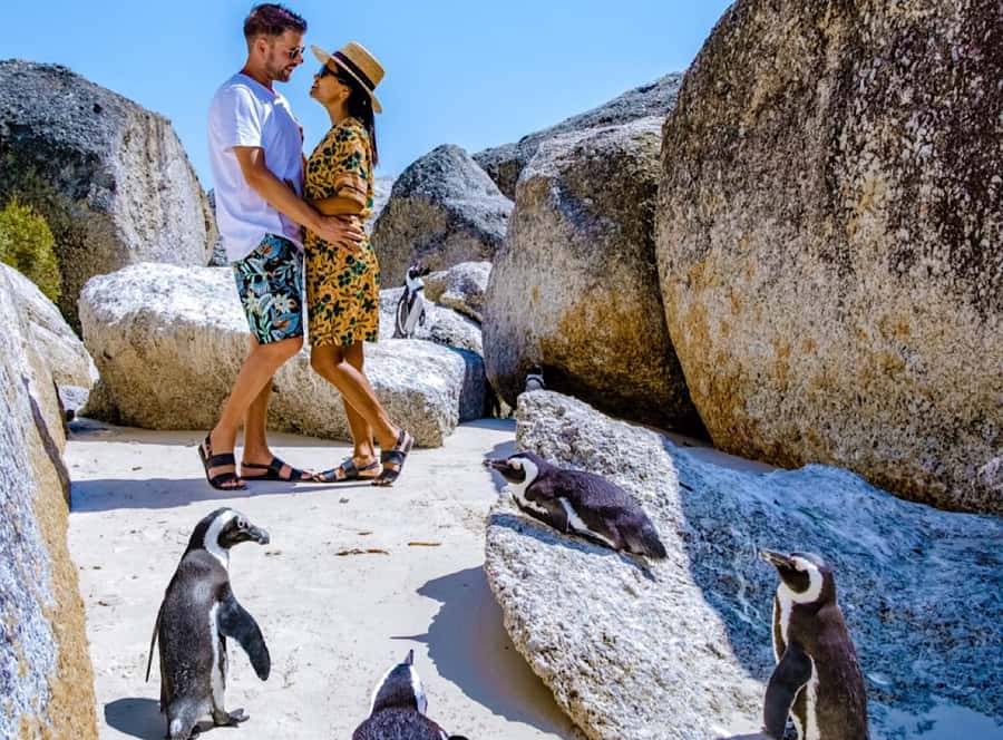 Cape Town Private Tour to Cape Of Good Hope and the Penguins - Price and Entrance Fees, What Adds Up