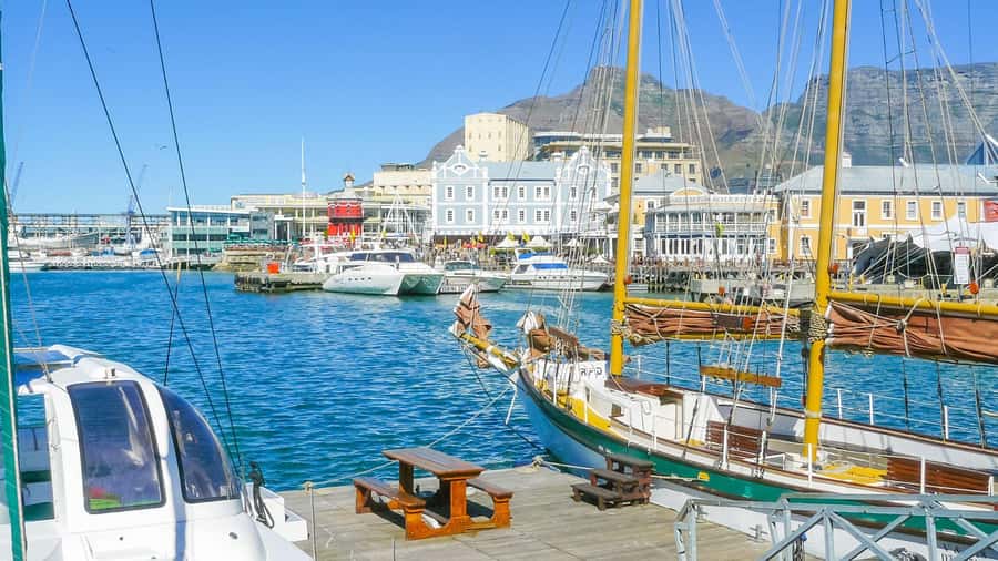 Cape Town Private Tour with a Local Highlights & Hidden Gems - Company’s Garden and St George’s Cathedral: The Classic Stops, Made Useful