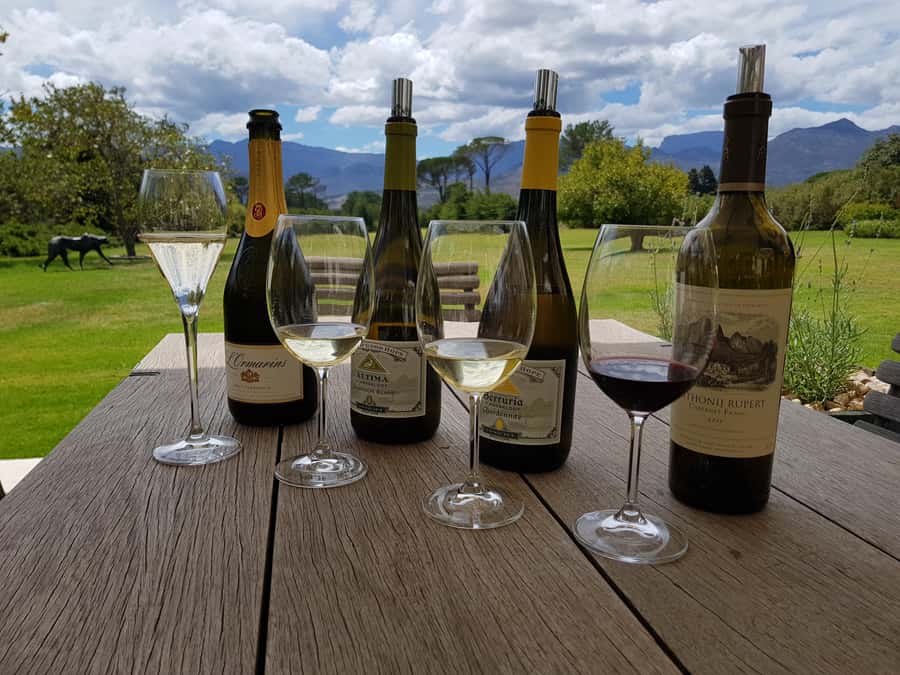 Cape Town: Private Wine Tour - Groot Constantia Vineyard: where the wine story starts, with cellar access