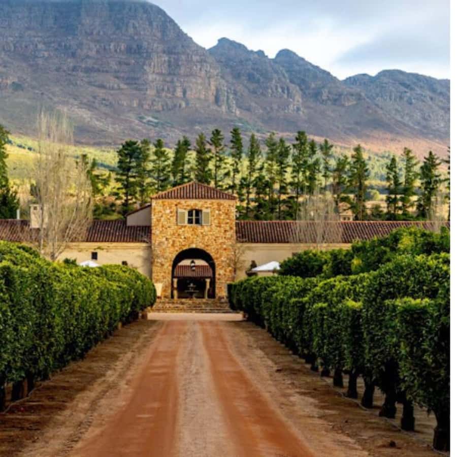 Cape Town: Private Wine Tour with Tastings and Lunch - Key highlights worth planning around