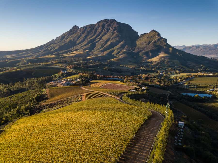 Cape Town: Private Wine Tour with Tastings and Lunch - Pricing and what you’re really paying for at $199 per person