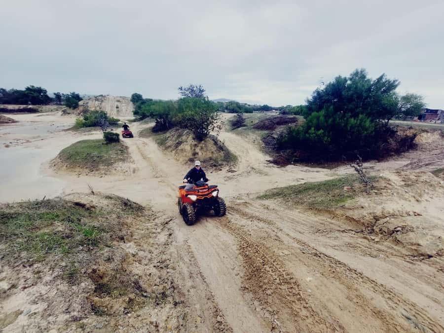 CAPE TOWN: QUAD BIKE FUN RIDE IN MELKBOS WITH WILD X - The Trail Experience: Trees, Bushes, and Real Off-Road Turns