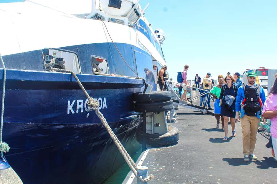 Cape Town: Robben Island ferry ticket plus Guided Tour - Getting to Nelson Mandela Gateway fast, and why the skip-the-line matters
