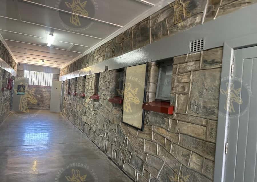 Cape Town: Robben Island Ferry with Prison Ticket and Tour - Key things to know before you go