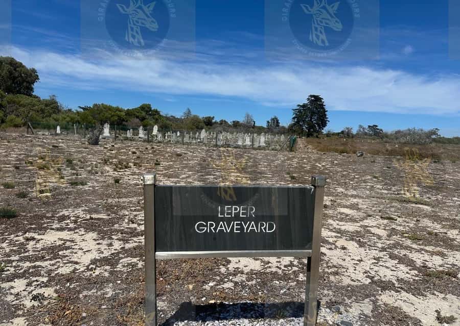Cape Town: Robben Island Ferry with Prison Ticket and Tour - Why Robben Island Still Hits Hard