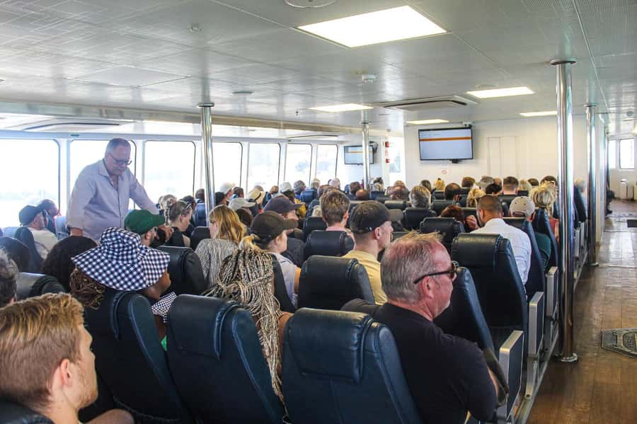Cape Town:Robben Island Guided Tour, Skip the Ticketing Line - The 30-minute ferry ride: views, timing, and motion