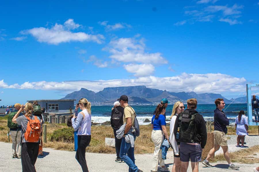 Cape Town:Robben Island Guided Tour, Skip the Ticketing Line - Skip the ticketing line: what you save, what you still queue for