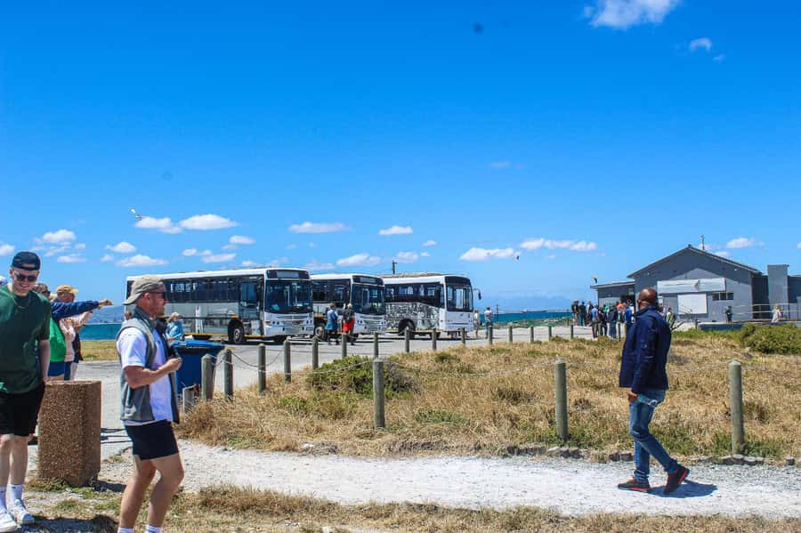 Cape Town:Robben Island Guided Tour, Skip the Ticketing Line - Weather and comfort tips you’ll be glad you follow