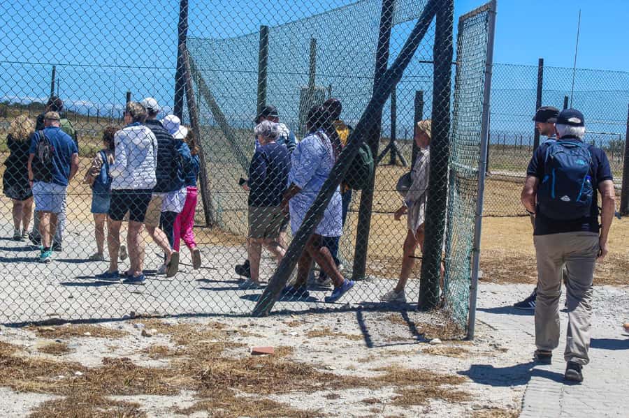 Cape Town: Robben Island Guided Tour ticket & guided tour - Your Guided Circuit Begins: Ex-Prisoner Stories and Key Landmarks