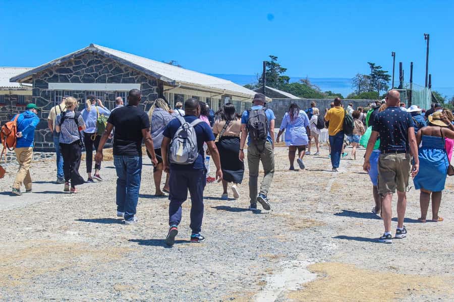 Cape Town: Robben Island Guided Tour ticket & guided tour - Price and Value: What $87 Gets You in Real Terms