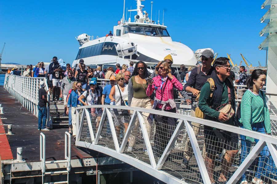 Cape Town: Robben Island Guided Tour ticket & guided tour - Should You Book This Robben Island Guided Tour?