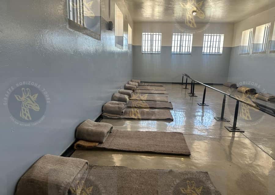 Cape Town: Robben Island Half-Day Tour w/ Pre-Booked Ticket - How Much Time You Really Get on the Island, Including Natural Wildlife