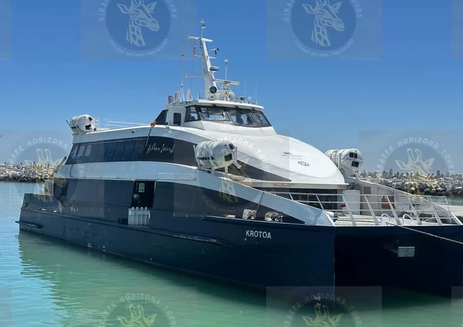 Cape Town: Robben Island Half-Day Tour w/ Pre-Booked Ticket - Timing and Group Flow, Including the Chance of a Small Delay