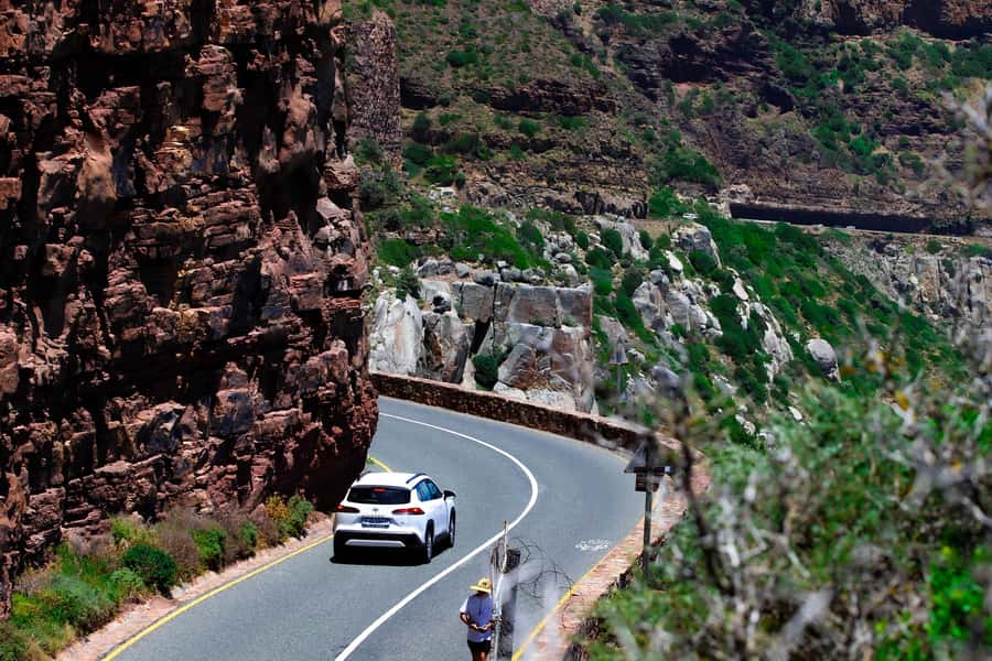 Cape Town's Best: Cape Point & Boulders Beach Group Tour - Hout Bay Break: Optional Seal Island Cruise