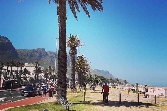 Cape Town's Finest City Bike Tour - Stop by stop: Sea Point views, Greenpoint Urban Park, and a smooth downtown entry