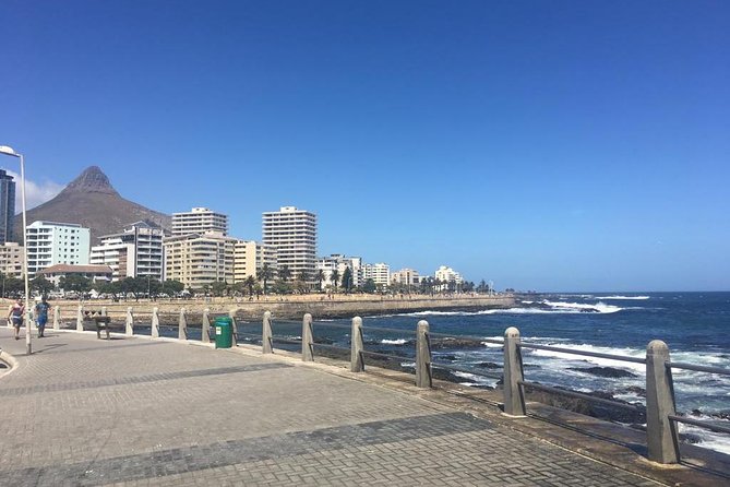 Cape Town's Finest City Bike Tour - Company’s Garden: tea and cake, plus a calmer pace for photos