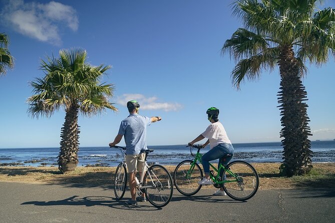 Cape Town's Finest City Bike Tour - Bo-Kaap: Cape Malay culture with colorful streets and curry scents