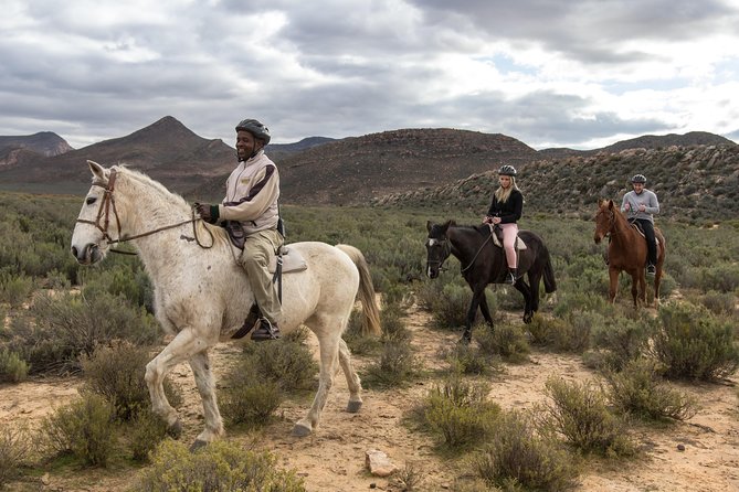 Cape Town Safari Big 5 experience all inclusive - What you can realistically hope to see in Aquila