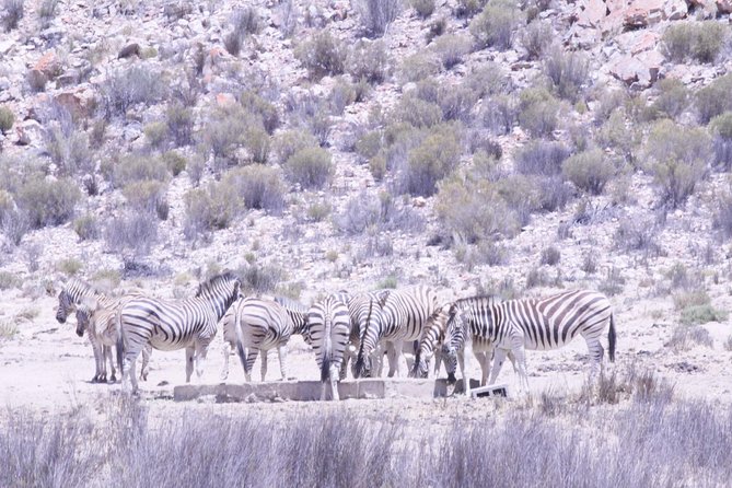 Cape Town Safari Big 5 experience all inclusive - What is all inclusive here, and what still costs extra