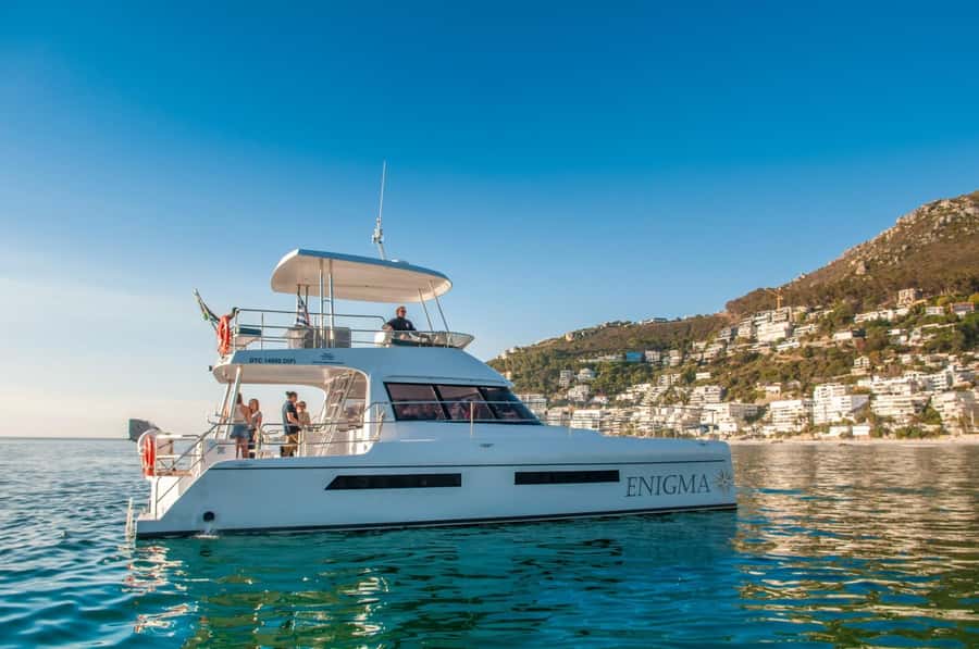 Cape Town: Scenic 1-Hour Coastal Catamaran Cruise - Key points before you board