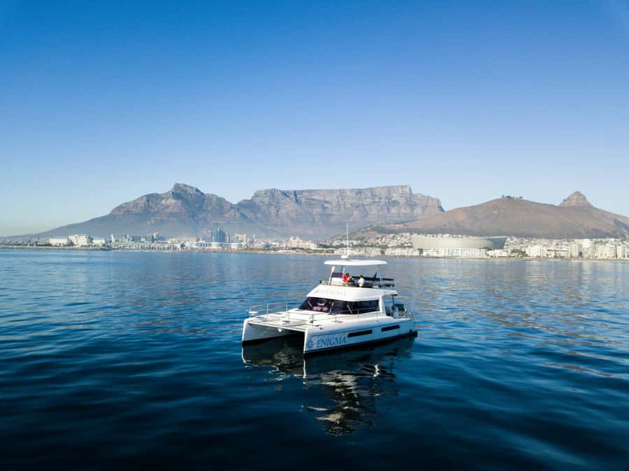Cape Town: Scenic 1-Hour Coastal Catamaran Cruise - Why this short catamaran cruise fits Cape Town so well